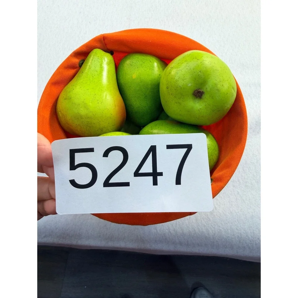 Modern Chrome Wire Basket with Orange Liner and 8 Artificial Green Pears Set